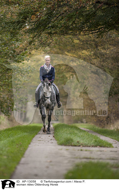 woman rides Oldenburg Horse / AP-13058