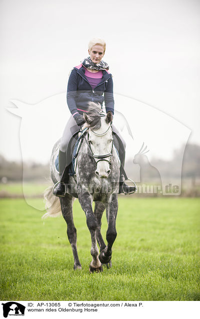 Frau reitet Oldenburger / woman rides Oldenburg Horse / AP-13065