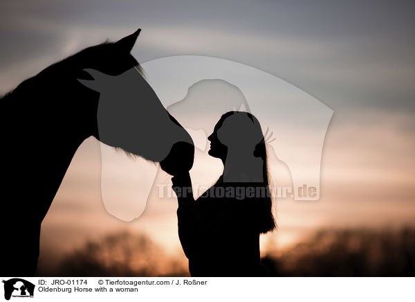 Oldenburg Horse with a woman / JRO-01174