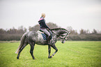 woman rides Oldenburg Horse