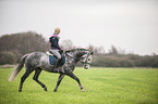 woman rides Oldenburg Horse