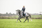 woman rides Oldenburg Horse