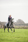 woman rides Oldenburg Horse