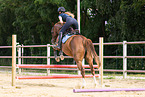 Oldenburg Horse