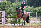 Oldenburg Horse