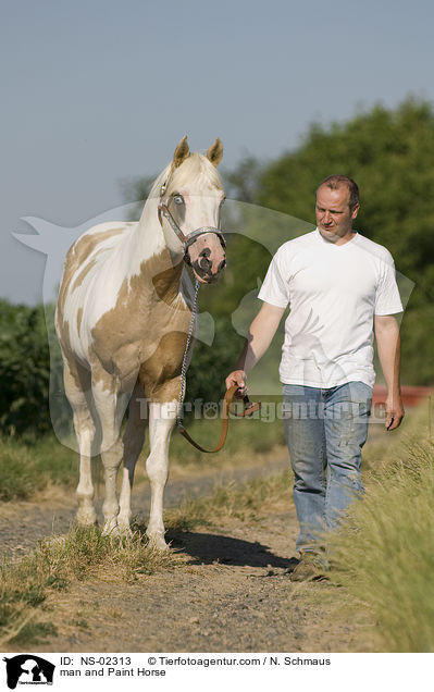 Mann und Paint Horse / man and Paint Horse / NS-02313