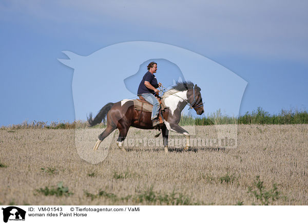 Frau reitet Paint Horse / woman rides Paint Horse / VM-01543