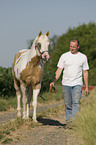 man and Paint Horse
