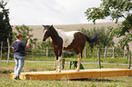 woman with Paint Horse