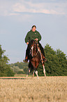 woman rides Paint Horse