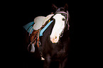 Paint Horse portrait