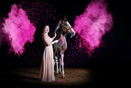 Paint Horse with holi colour