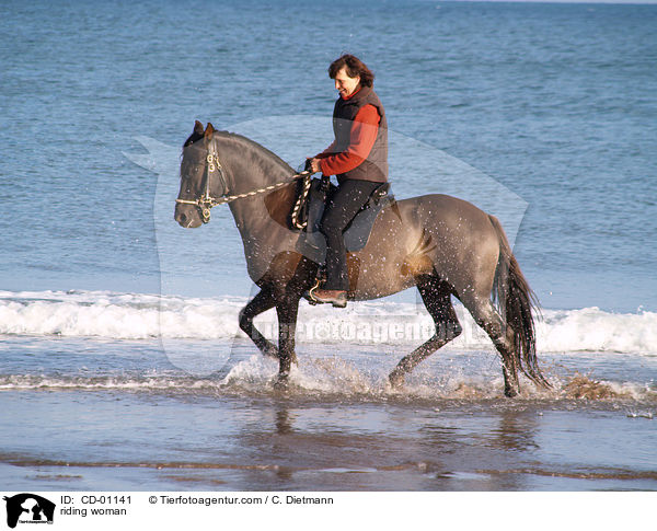 Freizeitreiten / riding woman / CD-01141
