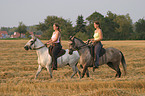 horsewoman