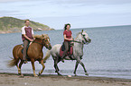 riders on Paso Fino and haflinger horse