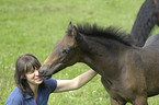 Paso Iberoamericano foal