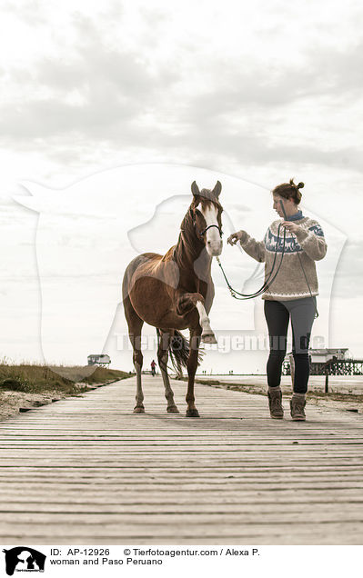 Frau und Paso Peruano / woman and Paso Peruano / AP-12926