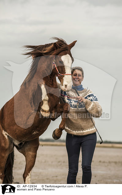 Frau und Paso Peruano / woman and Paso Peruano / AP-12934