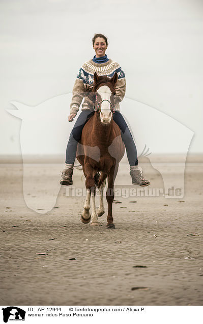 Frau reitet Paso Peruano / woman rides Paso Peruano / AP-12944