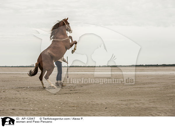 woman and Paso Peruano / AP-12947
