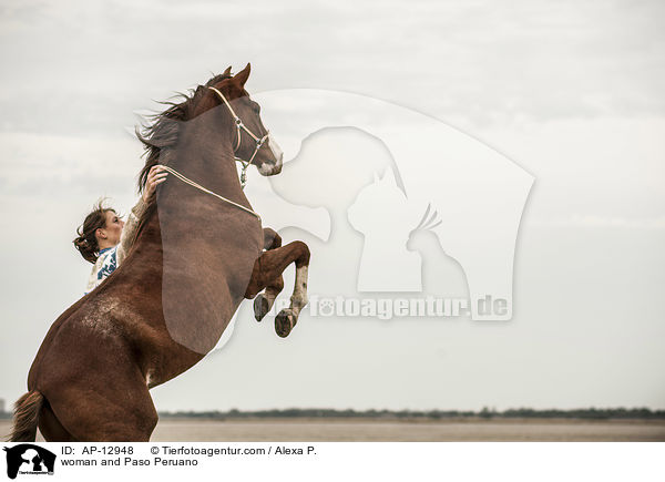 Frau und Paso Peruano / woman and Paso Peruano / AP-12948