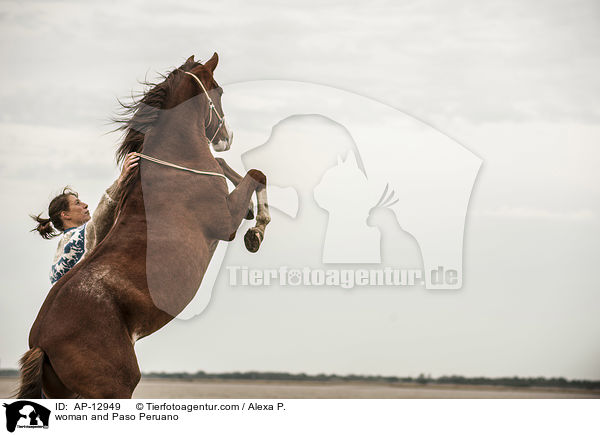 Frau und Paso Peruano / woman and Paso Peruano / AP-12949