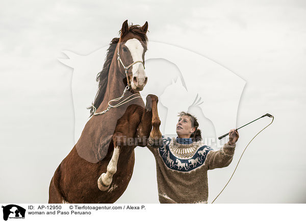 Frau und Paso Peruano / woman and Paso Peruano / AP-12950