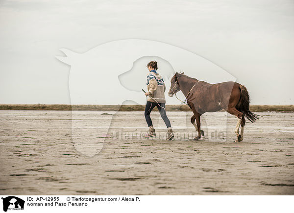 Frau und Paso Peruano / woman and Paso Peruano / AP-12955