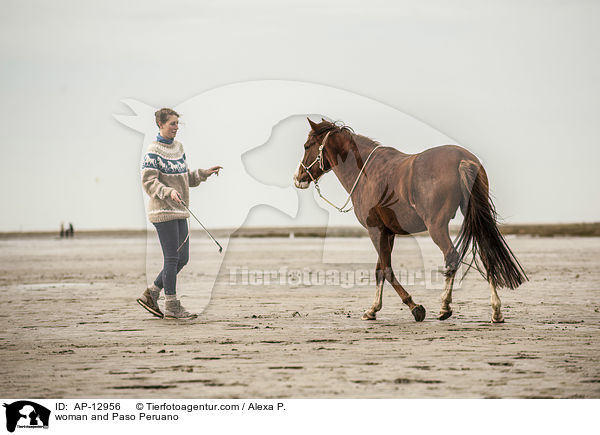 Frau und Paso Peruano / woman and Paso Peruano / AP-12956