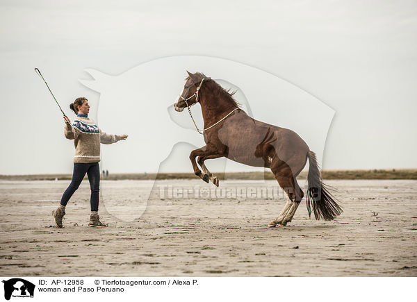 woman and Paso Peruano / AP-12958