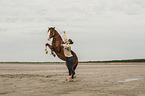 woman and Paso Peruano