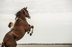 woman and Paso Peruano