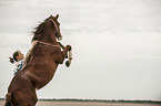 woman and Paso Peruano