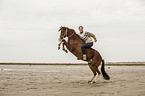 woman rides Paso Peruano