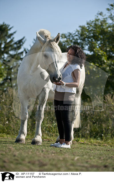 Frau und Percheron / woman and Percheron / AP-11157