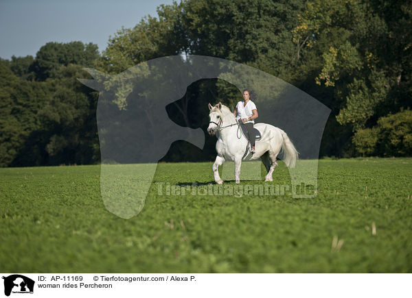 woman rides Percheron / AP-11169