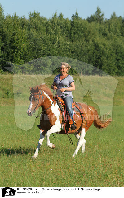 Frau reitet Pinto / woman rides Pinto / SS-28787
