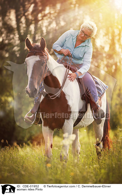 woman rides Pinto / CDE-01952
