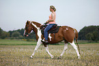 rider with pinto