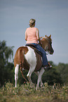 rider with pinto