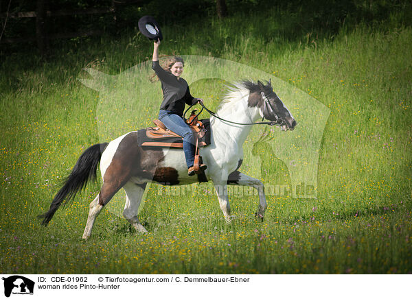 Frau reitet Pinto-Hunter / woman rides Pinto-Hunter / CDE-01962