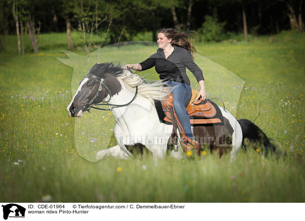 Frau reitet Pinto-Hunter / woman rides Pinto-Hunter / CDE-01964