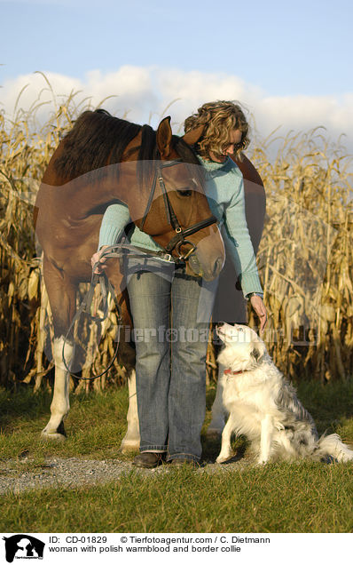 Frau mit Polnischem Warmblut und Border Collie / woman with polish warmblood and border collie / CD-01829