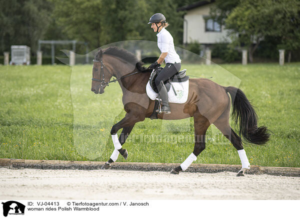 Frau reitet Polnisches Warmblut / woman rides Polish Warmblood / VJ-04413