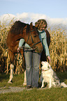 woman with polish warmblood and border collie
