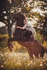 Polish Warmblood gelding