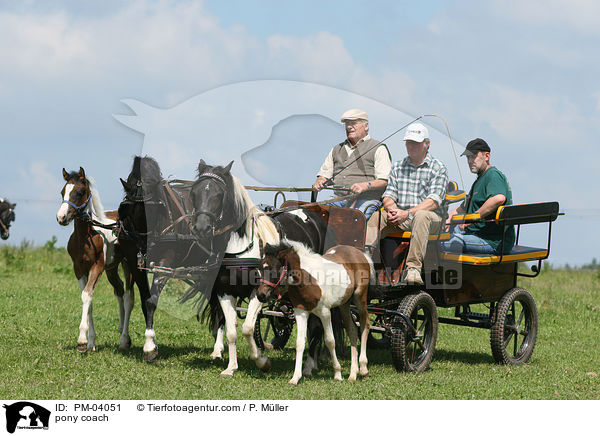 pony coach / PM-04051
