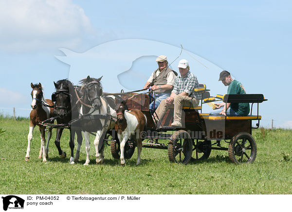 pony coach / PM-04052