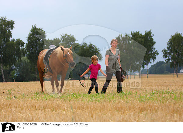 Pony wird gefhrt / Pony / CR-01628