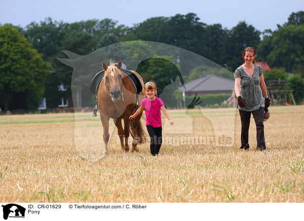 Pony wird gefhrt / Pony / CR-01629